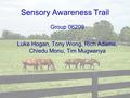 Sensory Awareness Trail Group 06209 Luke Hogan, Tony Wong, Rich Adams, Chiedu Monu, Tim Mugwanya.