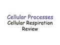 Cellular Processes Cellular Respiration Review. I Can I can describe the difference between autotrophs and heterotrophs I can describe the events that.