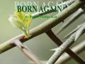 By Pastor Phillips Koh. JOHN 3 : “YOU MUST BE BORN AGAIN” A personal encounter with Jesus in which Nicodemus went through a paradigm shift.