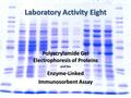 Polyacrylamide Gel Electrophoresis of Proteins and the Enzyme-Linked Immunosorbent Assay 1.