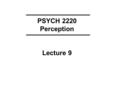 PSYCH 2220 Perception Lecture 9. COLOUR Trichromacy cones, three photopigments, long wavelength, medium wavelength, short wavelength, colour matching,