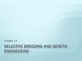 Chapter 13.  Breeding organisms for specific characteristics  Ex: Pedigree Dogs, livestock, horses, plants  Two Types of Selective Breeding: 1) Hybridization.