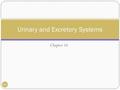 Chapter 16 16-1 Urinary and Excretory Systems. The Urinary System: Functions 16-2 Excretion of metabolic wastes Nitrogenous wastes Urea By-product of.