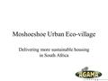 Moshoeshoe Urban Eco-village Delivering more sustainable housing in South Africa.