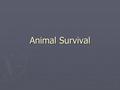 Animal Survival. Some facts ► In 1950, 15% of the world was covered by rainforest. By 2000, only 7% of the rainforest remain. ► By 2042, no rainforests.