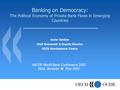 Banking on Democracy: The Political Economy of Private Bank Flows in Emerging Countries Javier Santiso Chief Economist & Deputy Director OECD Development.