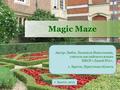 Magic Maze Автор: Любас Людмила Николаевна, учитель английского языка МБОУ«Лицей №2», г. Братск, Иркутская область г. Братск, 2013.