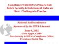 1 National Audioconference Sponsored by the HIPAA Summit June 6, 2002 Chris Apgar, CISSP Data Security & HIPAA Compliance Officer Providence Health Plan.