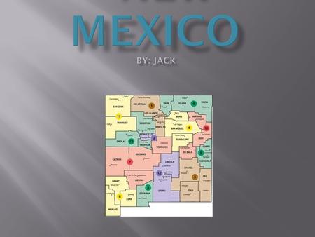  New Mexico’s population is 2,009,671.  New Mexico is the 5 largest state in the USA.  New Mexico is in the Southwest.