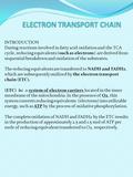 INTRODUCTION During reactions involved in fatty acid oxidation and the TCA cycle, reducing equivalents (such as electrons) are derived from sequential.