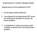 Requirements for oxidative phosphorylation 1. An ion impermeable membrane 2.A mechanism for moving protons (H + ) across the membrane to produce an energy-rich.