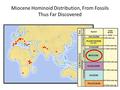 Miocene Hominoid Distribution, From Fossils Thus Far Discovered.