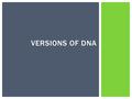 VERSIONS OF DNA. DNAChromatinChromosomeChromatid Genetic Information in a Double Helix DNA wrapped around a Protein Chromatin wrapped in a supercoil One.