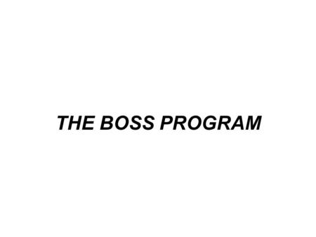 THE BOSS PROGRAM. BRIEFING OUTLINE Definition and History of BOSS The Three Pillars of BOSS Conclusion.