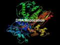 DNA Replication. Topoisomerase It wraps around DNA and makes a cut permitting the helix to spin. Once DNA is relaxed, topoisomerase reconnects broken.