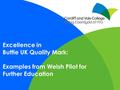 Excellence in Buttle UK Quality Mark: Examples from Welsh Pilot for Further Education.