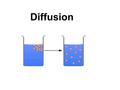 Diffusion. Selectively Permeable Membrane Animal Cell (Normal Saline 0.9%) = solute.