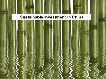 1 Sustainable Investment in China. 2 About me Studied Business – but no interest in finance In China for 8 years – started in NGOs Now working at BSR.