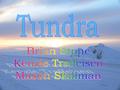 Three different types of Tundra’s Arctic Tundra, Alpine Tundra, and Antarctic Tundra Little to no trees Vegetation It is more Mountainous rather than.