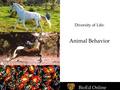 BioEd Online Diversity of Life: Animal Behavior BioEd Online.