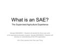 What is an SAE? All In One Lessons from One Less Thing The Supervised Agriculture Experience Georgia MSAGED8-1: Students will identify the three main parts.