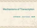 Mechanisms of Transcription 生物学基地班 200431060023 魏昌勇.