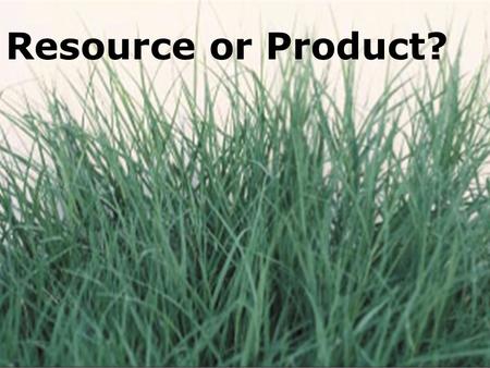 Resource or Product?. Forage Management Unit for Adults Lesson 2: Establishing Forages.