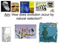 Aim: How does evolution occur by natural selection?