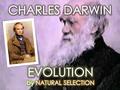 Darwin on the HMS Beagle: 4. Through family connections in 1831, Charles Darwin had an opportunity of a lifetime to open his eyes to see the world.