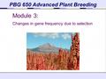 PBG 650 Advanced Plant Breeding Module 3: Changes in gene frequency due to selection.