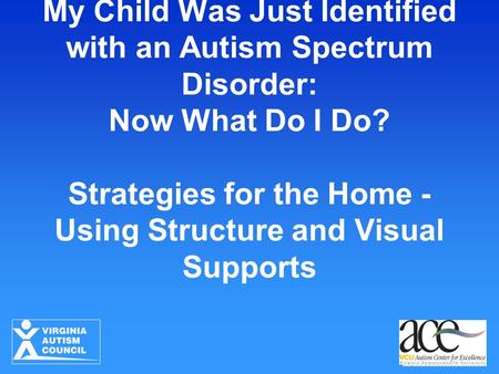 My Child Was Just Identified with an Autism Spectrum Disorder: Now What Do I Do? Strategies for the Home - Using Structure and Visual Supports.