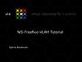 WS-Freefluo-VLAM Tutorial Spiros Koulouzis. Outline Get the WS-Freefluo-VLAM (GUI) Start the WS-Freefluo-VLAM (GUI) Generate modules from WSDL Compose.