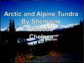 Characteristics of Tundra Permanently frozen subsoil (permafrost) Low temps Low biotic diversity Simply structured vegetation Limited soil drainage Short.