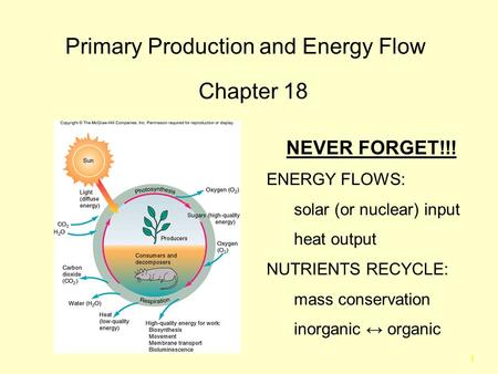 1 Primary Production and Energy Flow Chapter 18 NEVER FORGET!!! ENERGY FLOWS: solar (or nuclear) input heat output NUTRIENTS RECYCLE: mass conservation.