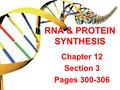 RNA & PROTEIN SYNTHESIS Chapter 12 Section 3 Pages 300-306.