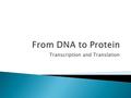 Transcription and Translation.  Genes: are segments of DNA that code for proteins  Most nucleotide base sequences in DNA don’t code for anything  ATGCGAATCGTAGCATACGATGCATGCACGTG.