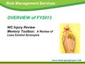 Www.doas.georgia.gov/risk Risk Management Services OVERVIEW of FY2013 WC Injury Review Memory Toolbox: A Review of Loss Control Acronyms.