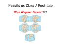 Fossils as Clues / Post Lab Was Wegener Correct???