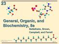 23 23-1 © 2006 Thomson Learning, Inc. All rights reserved General, Organic, and Biochemistry, 8e Bettelheim, Brown, Campbell, and Farrell.