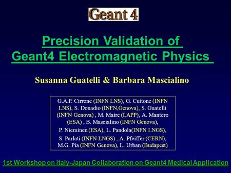 Susanna Guatelli & Barbara Mascialino G.A.P. Cirrone (INFN LNS), G. Cuttone (INFN LNS), S. Donadio (INFN,Genova), S. Guatelli (INFN Genova), M. Maire (LAPP),