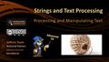 Strings and Text Processing Processing and Manipulating Text SoftUni Team Technical Trainers Software University