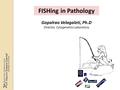 FISHing in Pathology Gopalrao Velagaleti, Ph.D Director, Cytogenetics Laboratory.