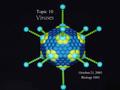 Topic 10 Viruses October 21, 2005 Biology 1001. What Are Viruses? Viruses are infectious particles consisting of nucleic acid enclosed in a protein coat,