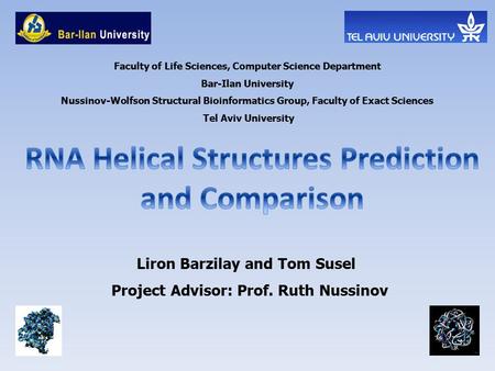 Liron Barzilay and Tom Susel Project Advisor: Prof. Ruth Nussinov Faculty of Life Sciences, Computer Science Department Bar-Ilan University Nussinov-Wolfson.