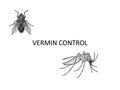 VERMIN CONTROL. DEFINITION OF TERMS VERMIN – a group of insects or small animals such as flies, mosquitoes, cockroaches, fleas, bedbugs, mice and rats.