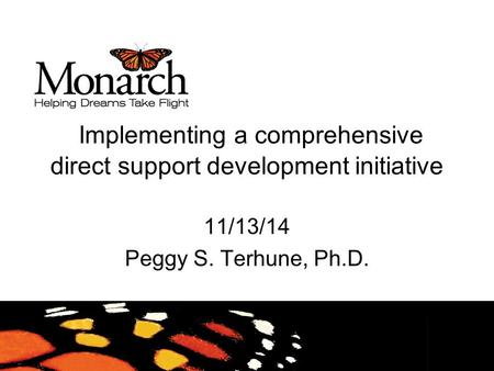 Implementing a comprehensive direct support development initiative 11/13/14 Peggy S. Terhune, Ph.D.