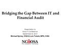 Bridging the Gap Between IT and Financial Audit Presentation to NSAA IT Conference September 24, 2015 Michael Spivey, CISA & Luis Toledo, MPA, CISA.