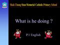P.1 English What is he doing ? He is swimming. What is she doing ? She is dancing.