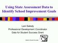 Data for Student Success Using State Assessment Data to Identify School Improvement Goals Lani Seikaly Professional Development Coordinator Data for Student.