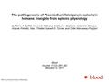 The pathogenesis of Plasmodium falciparum malaria in humans: insights from splenic physiology by Pierre A. Buffet, Innocent Safeukui, Guillaume Deplaine,